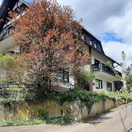 Ferienwohnung Bergblick 할렌버그 외부 사진