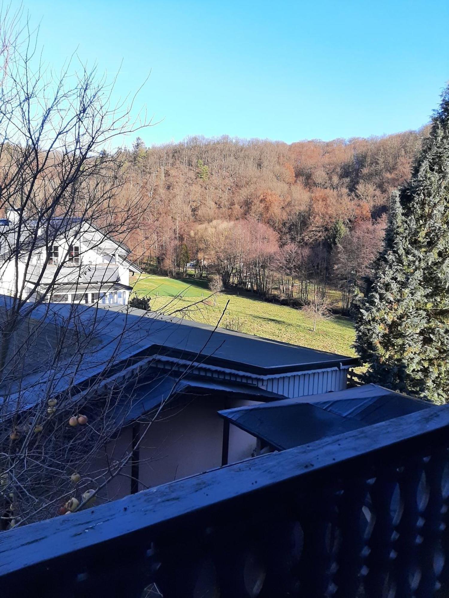 Ferienwohnung Bergblick 할렌버그 외부 사진