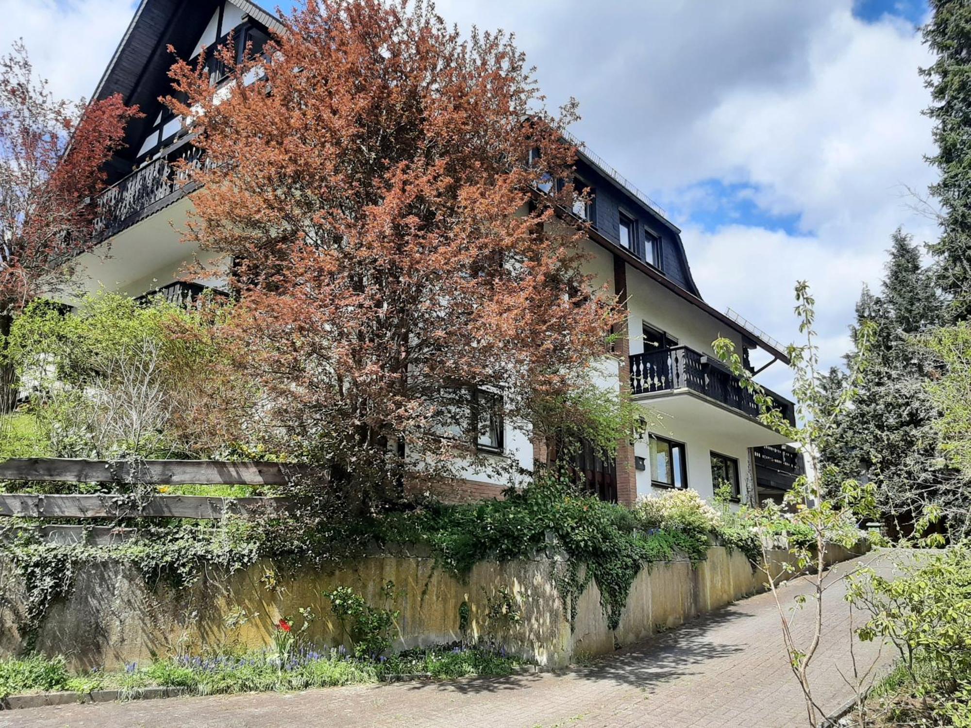 Ferienwohnung Bergblick 할렌버그 외부 사진